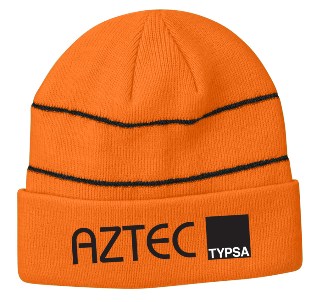 AZTEC Embroidered Reflective Beanie